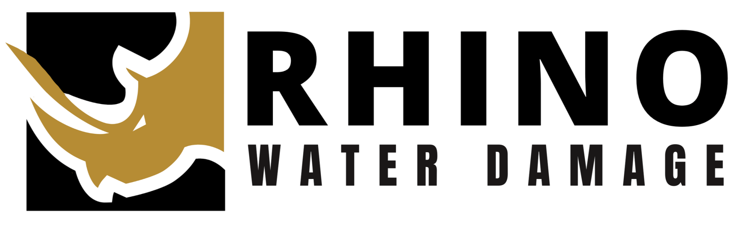 Rhino Water Damage